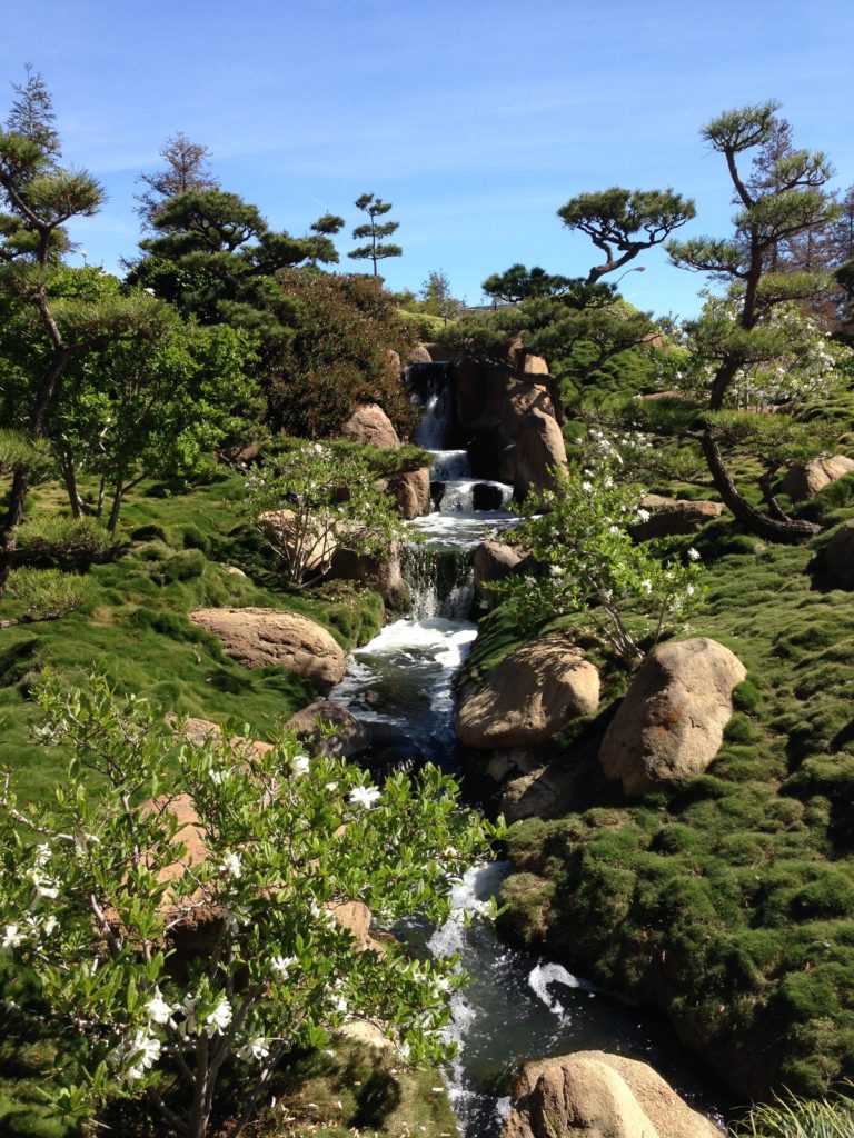 Japanese Gardens - Iris Healing