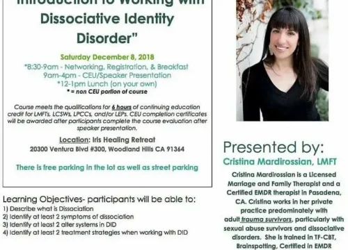 Introduction to Working with Dissociative Identity Disorder