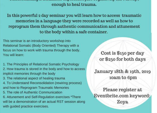 Reprogramming Trauma Workshop