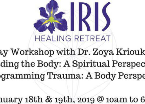 Reprogramming Trauma Workshop