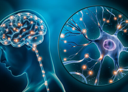 Brainspotting vs EMDR